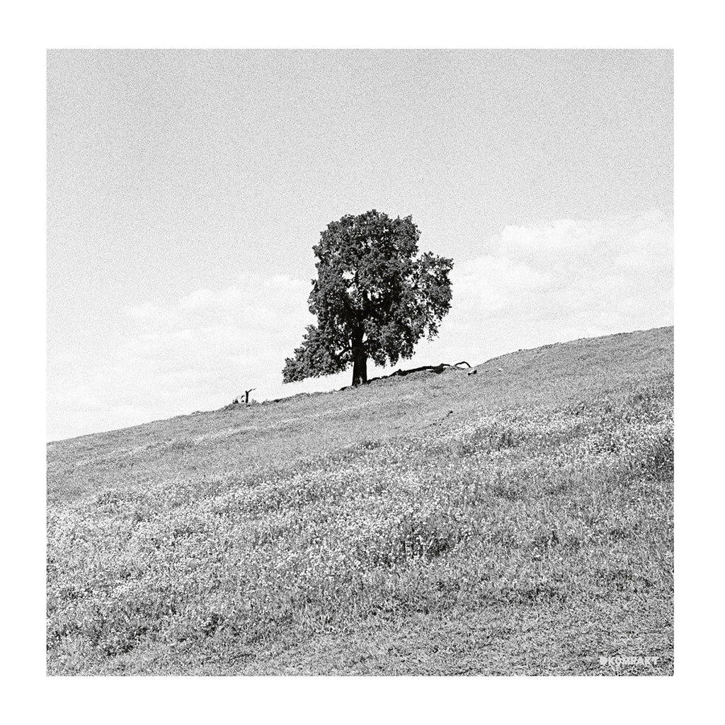 BLANK GLOSS - Cornered - LP - Vinyl