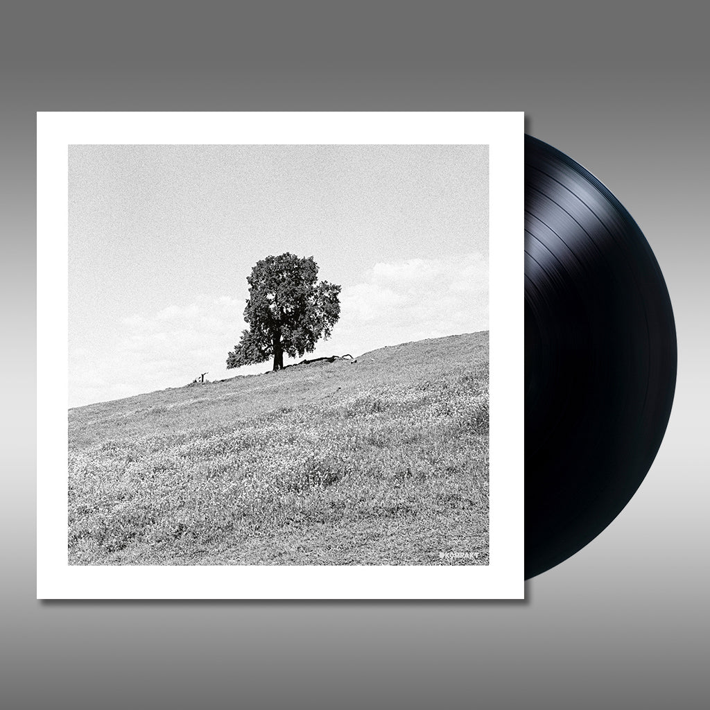 BLANK GLOSS - Cornered - LP - Vinyl