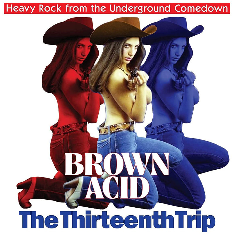 VARIOUS ARTISTS - Brown Acid: The Thirteenth Trip - LP - Yellow Vinyl
