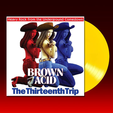 VARIOUS ARTISTS - Brown Acid: The Thirteenth Trip - LP - Yellow Vinyl