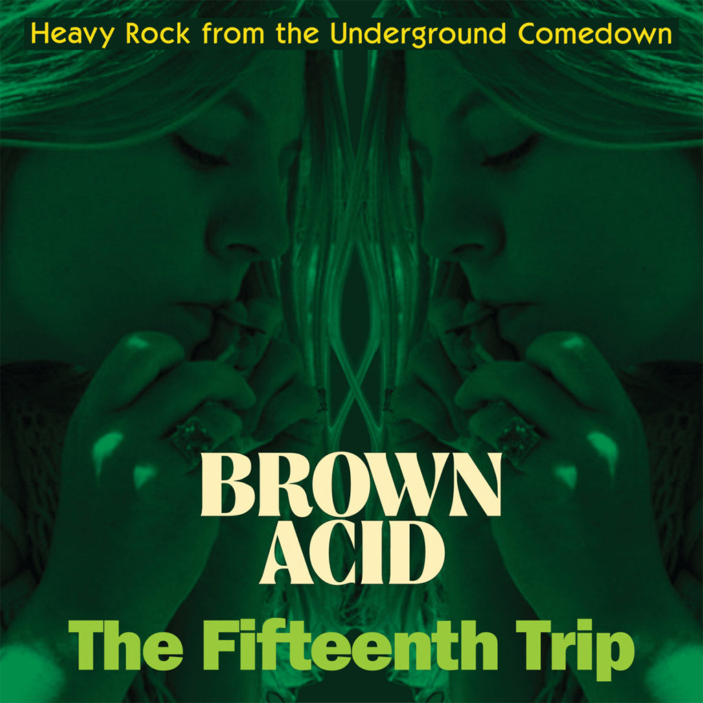VARIOUS - Brown Acid: The Fifteenth Trip - LP - Mystery Coloured Vinyl
