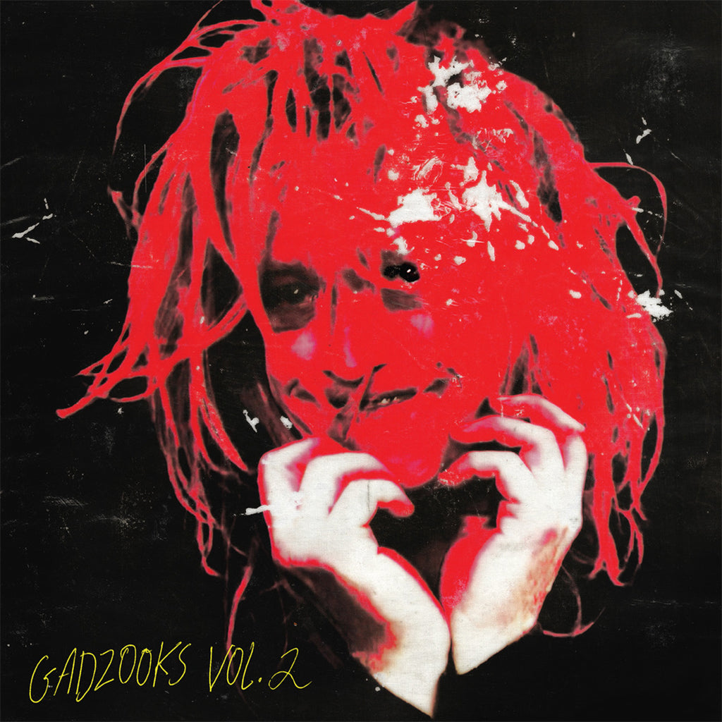 CALEB LANDRY JONES - Gadzooks Vol. 2 - LP - Red Vinyl