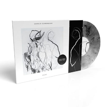 CHARLIE CUNNINGHAM - Frame - LP - Transparent Smoky Vinyl [MAR 31]
