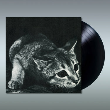 CINDY - Cindy (2023 Reissue) - LP - Vinyl