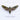 COWBOY JUNKIES - Such Ferocious Beauty - CD