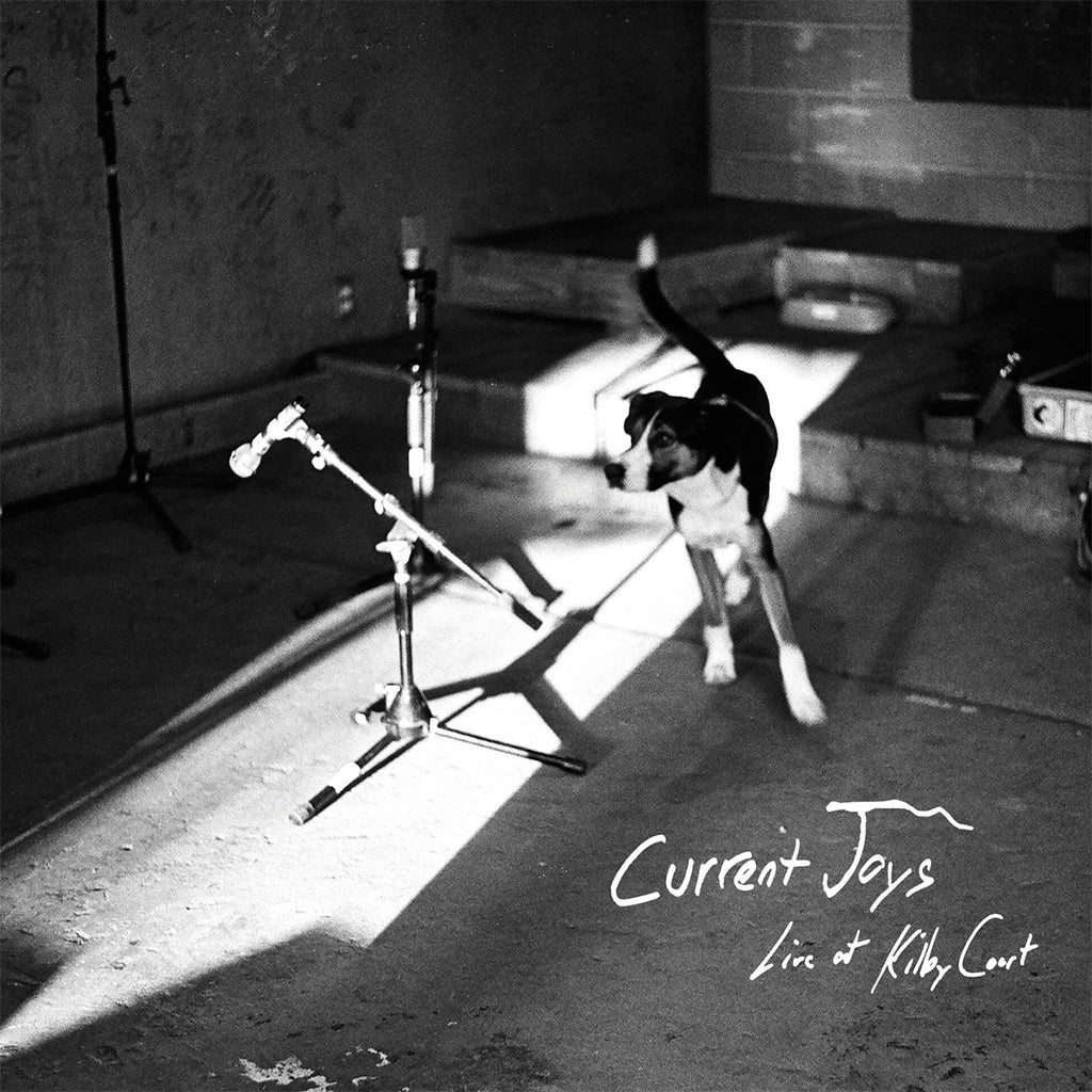 CURRENT JOYS - Live At Kilby Court (2023 Repress) - 2LP - Vinyl