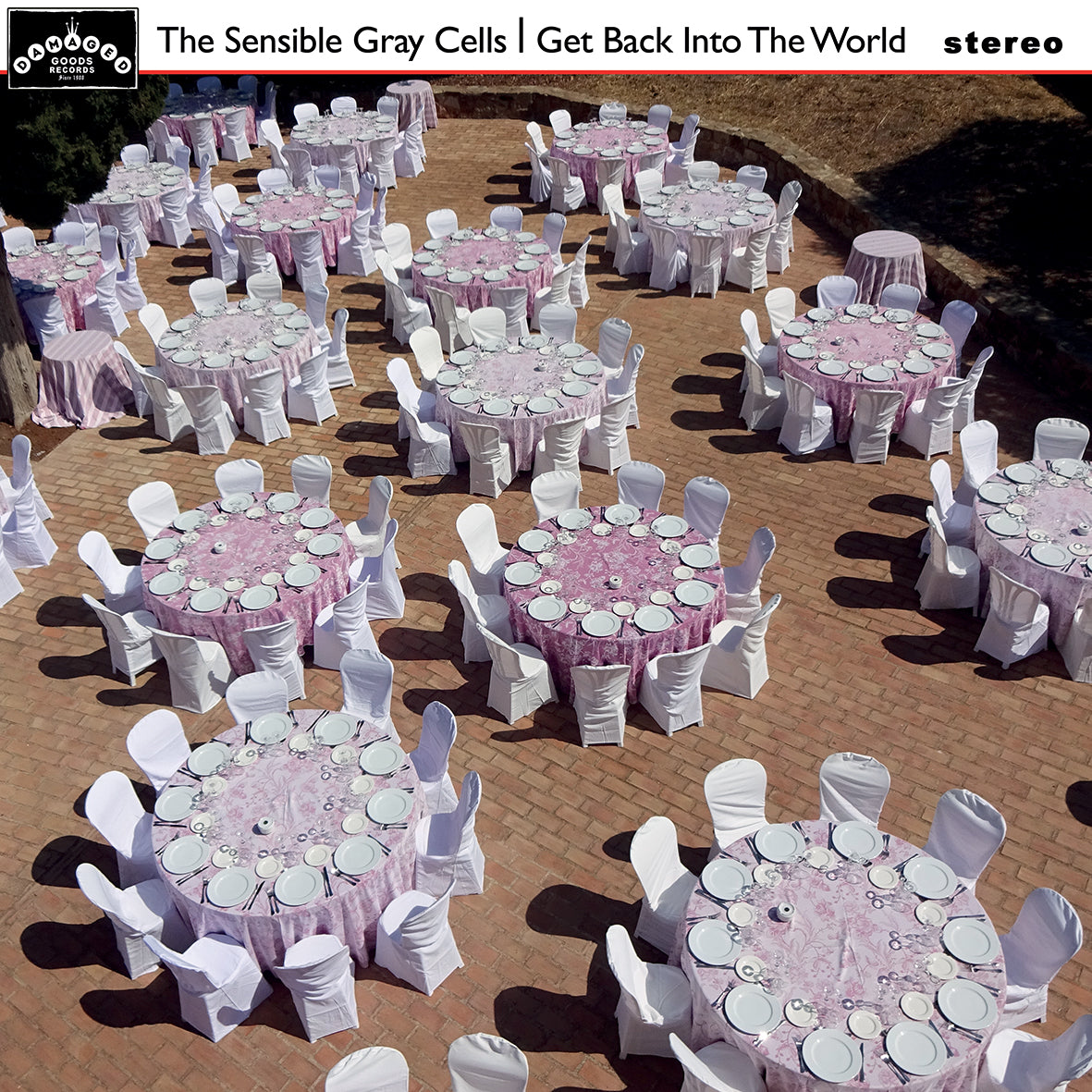 THE SENSIBLE GRAY CELLS - Get Back Into The World  - LP - Limited Grey Vinyl