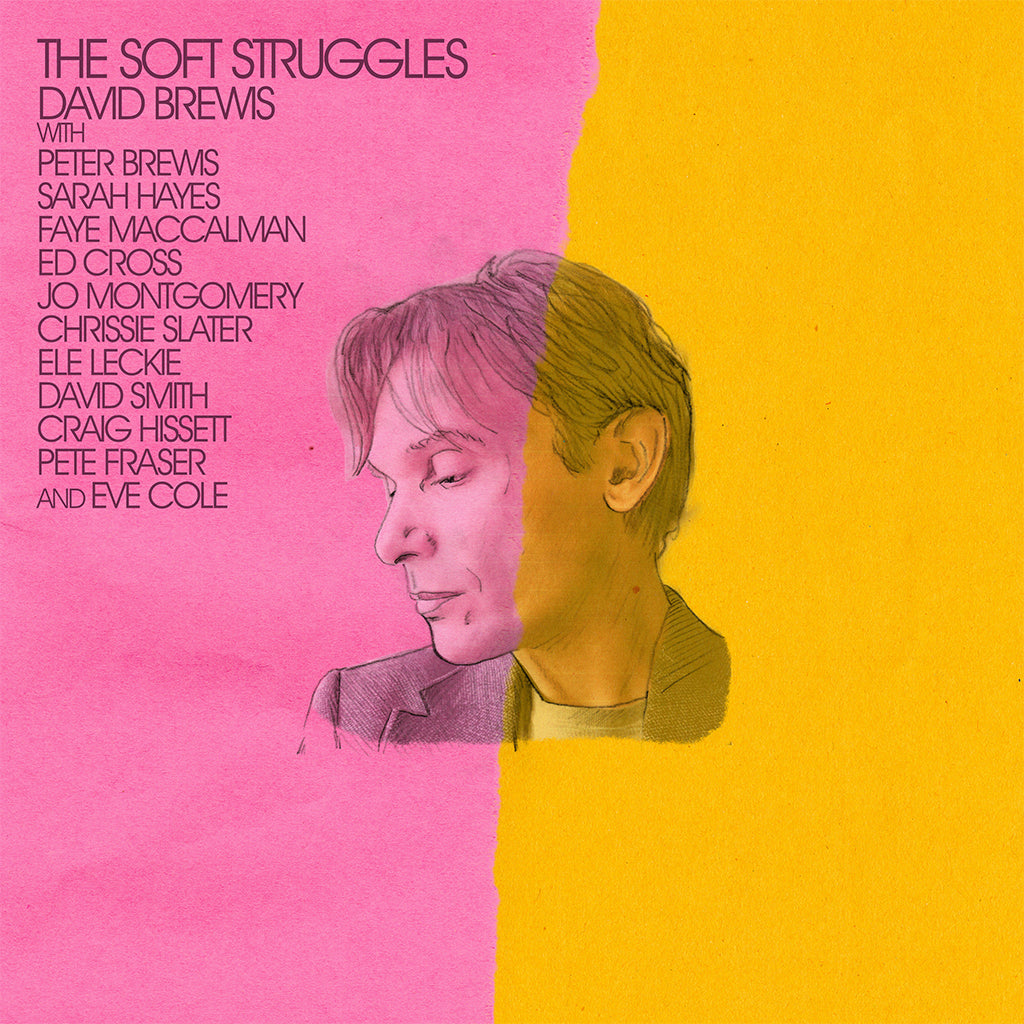DAVID BREWIS - The Soft Struggles - LP - Vinyl