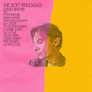 DAVID BREWIS - The Soft Struggles - LP - Vinyl