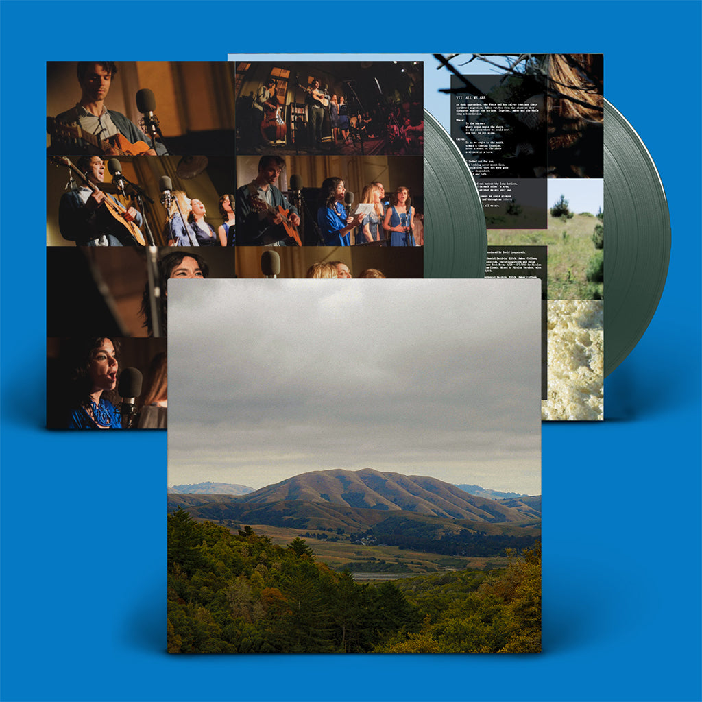DIRTY PROJECTORS & BJORK - Mount Wittenberg Orca (Expanded Edition w/ 13 Bonus Tracks) - 2LP - Dark Green Vinyl [RSD23]