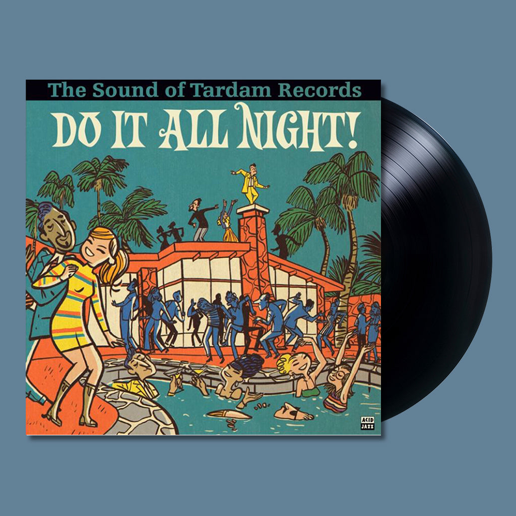 VARIOUS - Do It All Night! - The Sound Of Tardam Records - LP - Vinyl