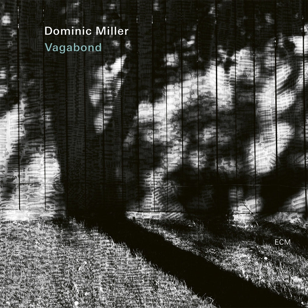 DOMINIC MILLER - Vagabond - LP - Vinyl [APR 21]