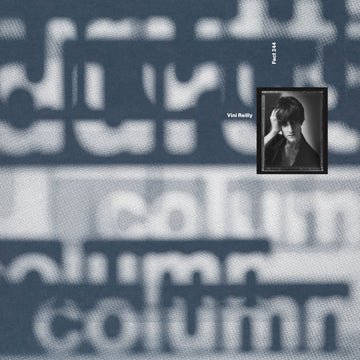 THE DURUTTI COLUMN - Vini Reilly - 1 LP  [RSD 2024]