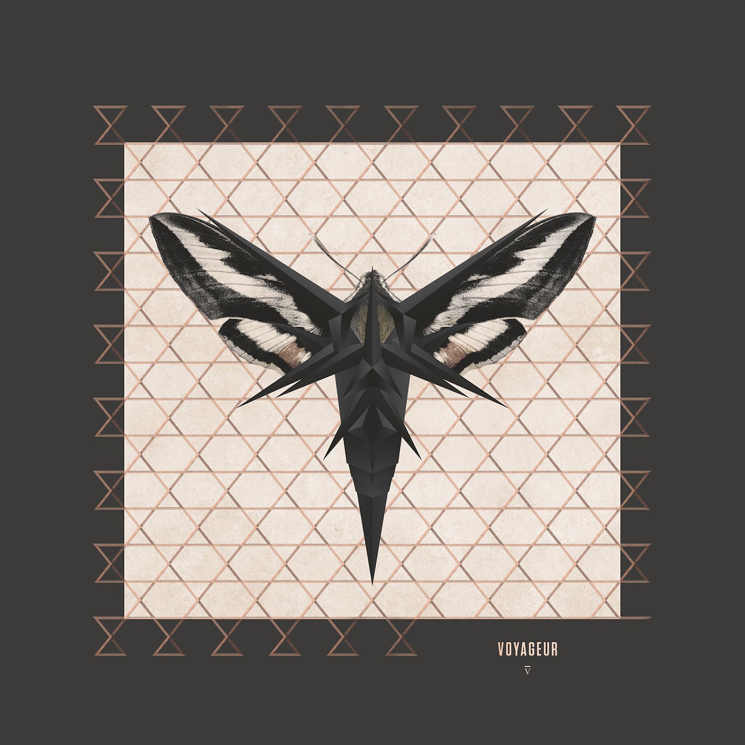 ENIGMA - Voyageur (Remastered) - LP - 180g Vinyl