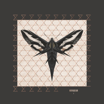 ENIGMA - Voyageur (Remastered) - LP - 180g Vinyl