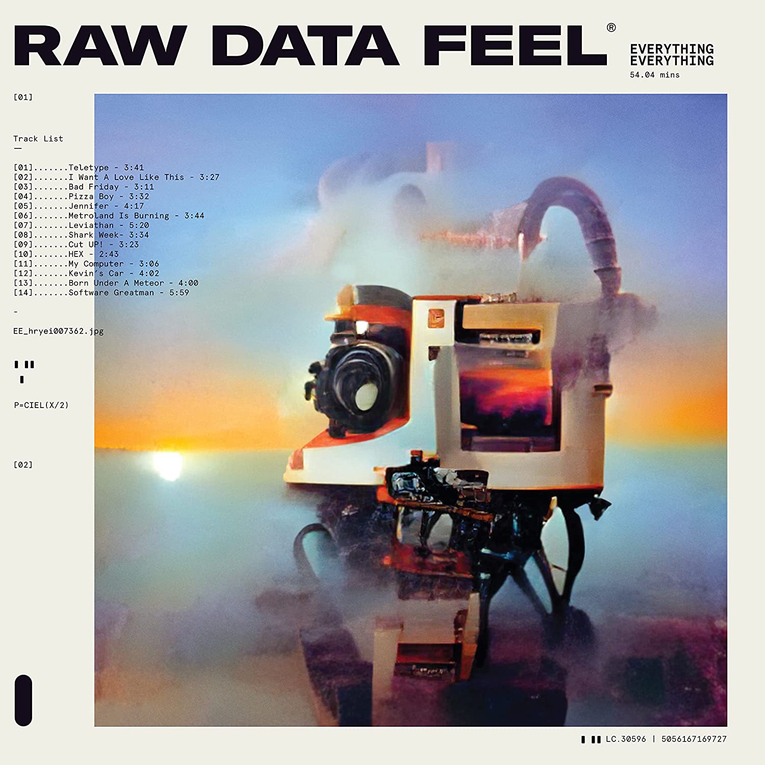 EVERYTHING EVERYTHING - Raw Data Feel - LP - Pink Vinyl