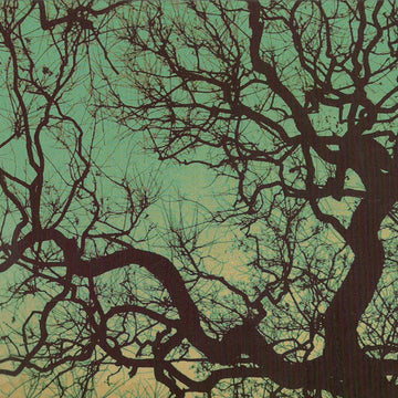 FÖLLAKZOID - Föllakzoid - LP - Galaxy Green Vinyl