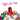 FIGHT LIKE APES - Fight Like Apes (2023 Reissue) - CD