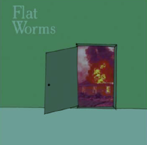 FLAT WORMS - The Guest / Circle - 7" - Vinyl