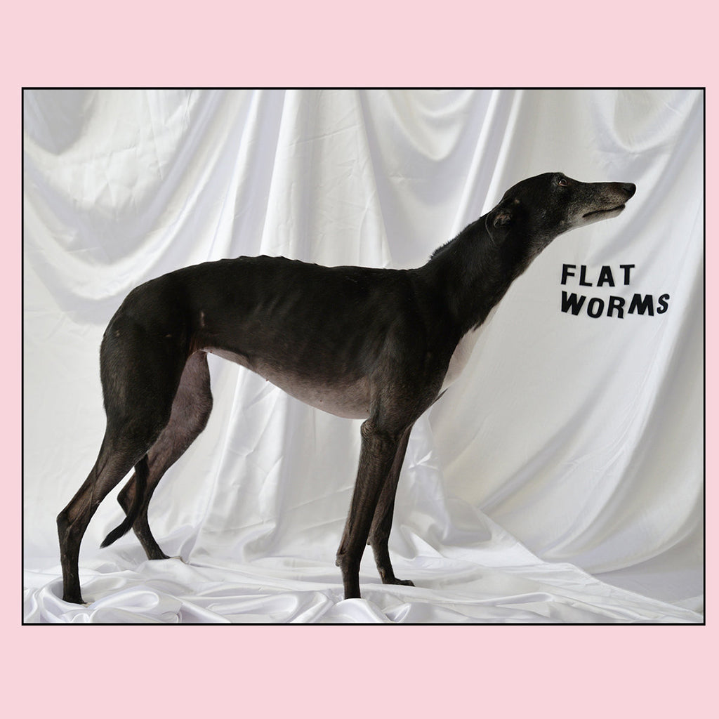 FLAT WORMS - Flat Worms (2022 Repress) - LP - Black Galaxy In Pink Vinyl