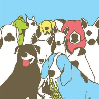 THE FORMAT - Dog Problems (2023 Reissue w/ Etching) - 2LP - Milky Clear Vinyl