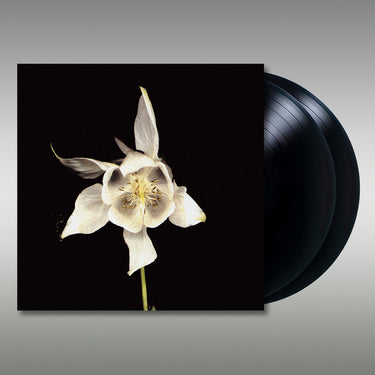 FRIDGE - Happiness - Anniversary Edition (Remastered) - 2LP - Deluxe Gatefold Vinyl