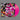 FUNKADELIC - Hardcore Jollies (2023 Reissue w/ Obi-Strip) - LP - Translucent Pink Vinyl