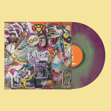 GIRAFFES? GIRAFFES! - Memory Lame (2023 Reissue) - LP - Purple & Green Colour Vinyl [MAR 17]