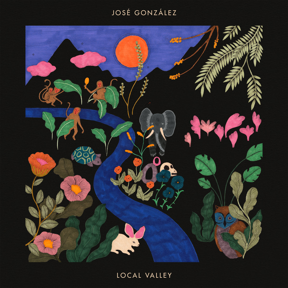 JOSE GONZALEZ - Local Valley - CD