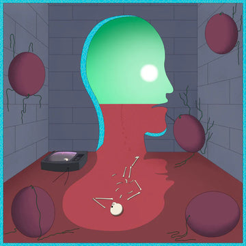 JAPANESE TELEVISION - Space Fruit Vineyard (Remixes) [BLACK FRIDAY 2022] - 2LP - Green Vinyl