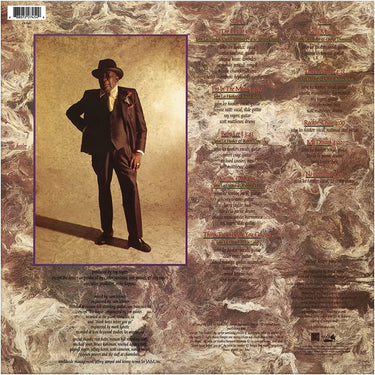 JOHN LEE HOOKER - The Healer (2022 Reissue) - LP - Vinyl