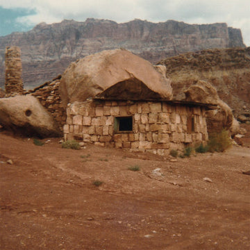 JOSEPHINE FOSTER - Domestic Sphere - LP - Vinyl [APR 7]