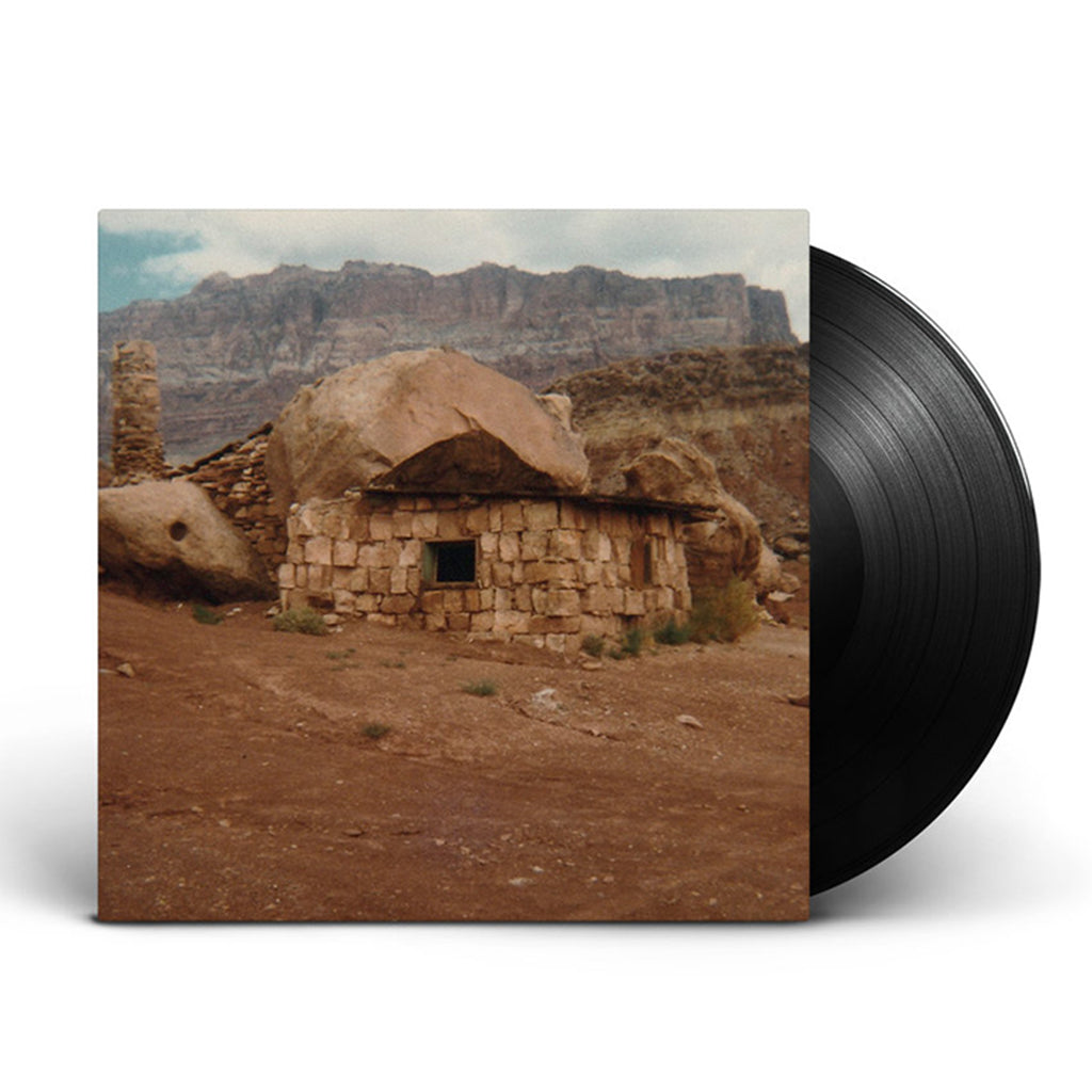 JOSEPHINE FOSTER - Domestic Sphere - LP - Vinyl [APR 7]