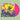 KING GIZZARD & THE LIZARD WIZARD - Teenage Gizzard (Improved Sequence Ed.) - LP - Solid Magenta Vinyl