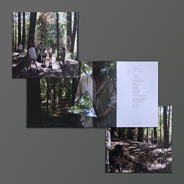 LIARS -  Sisterworld (2023 Reissue) - LP - Recycled Coloured Vinyl