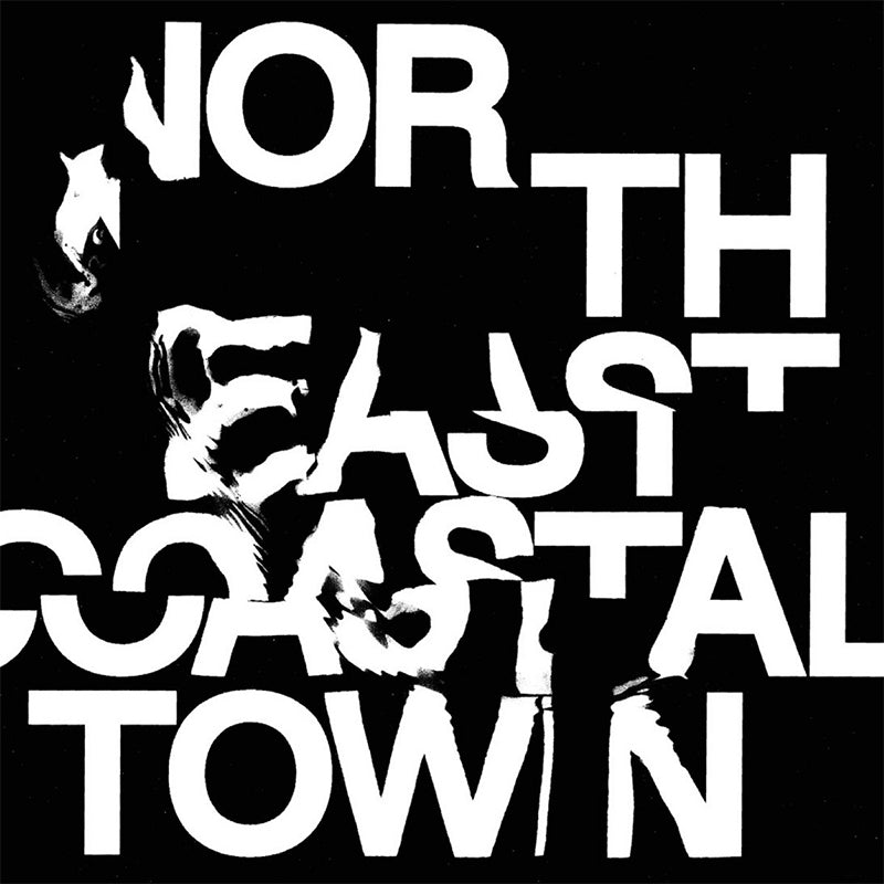 LIFE - North East Coastal Town - LP - Pastel Pink Vinyl