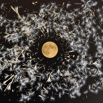 LISA O’NEILL - All Of This Is Chance - LP - Black Vinyl