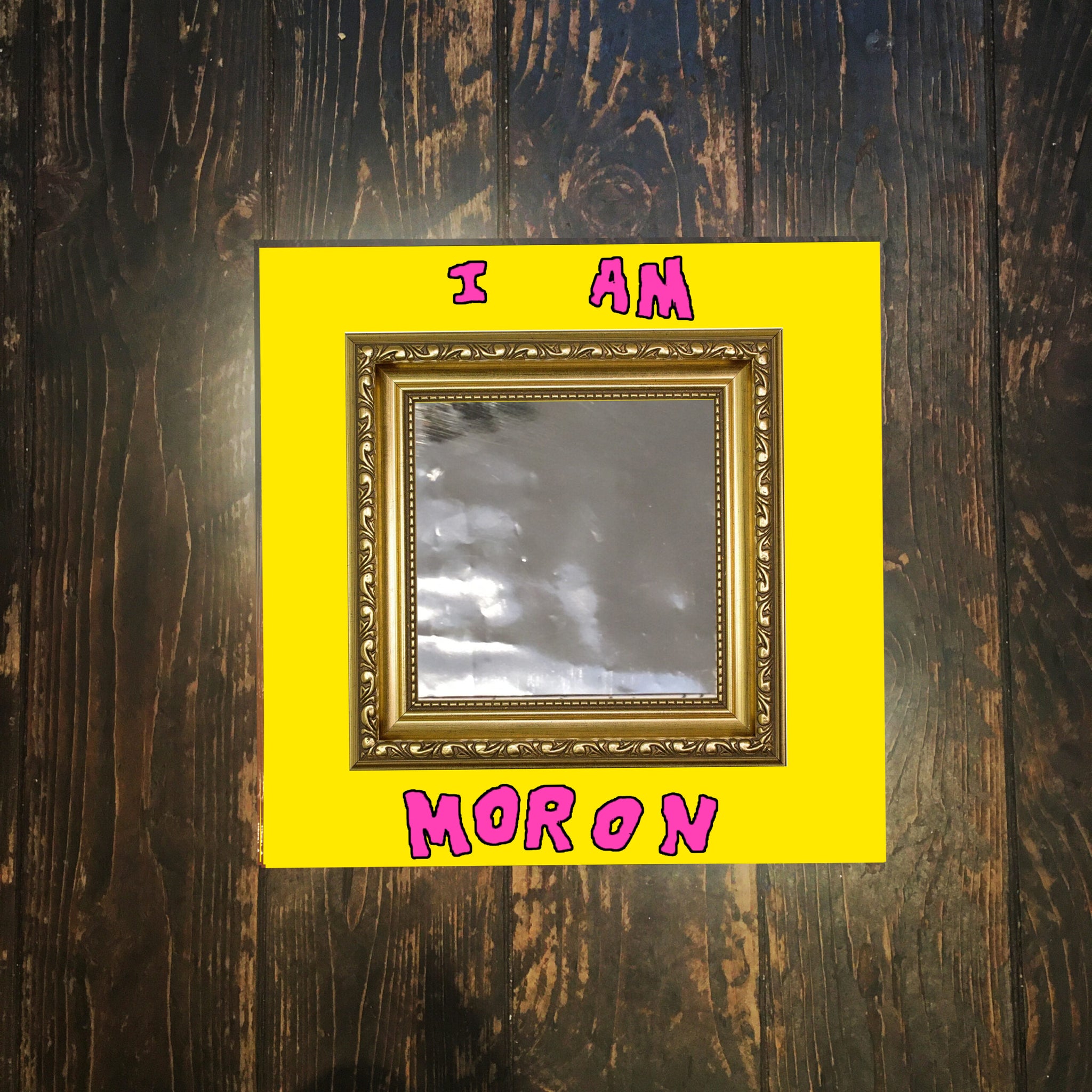 THE LOVELY EGGS - I Am Moron - LP Limited Neon Pink Vinyl [RSD2020-AUG29]