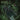 MIDNIGHT - Let There Be Witchery - CD