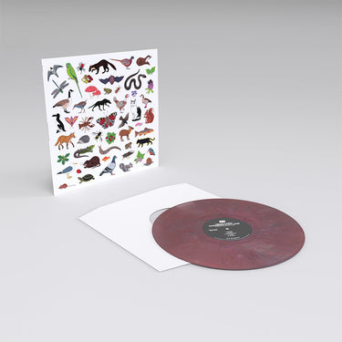 MODERN NATURE - Island Of Noise - LP - 180g Recycled Vinyl