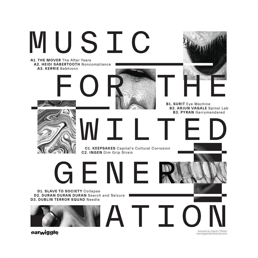 VARIOUS ARTISTS - Music For The Wilted Generation - 2LP - Vinyl