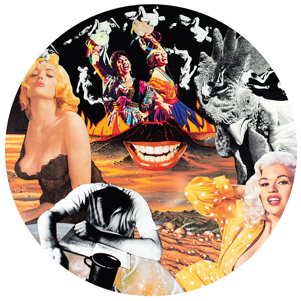 NURSE WITH WOUND - Sylvie and Babs - LP - Picture Disc Vinyl