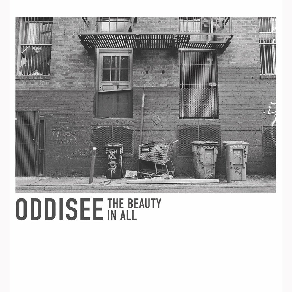 ODDISEE - The Beauty In All (2023 Reissue w/ Alternative Cover) - LP - Purple Vinyl [date tbc]