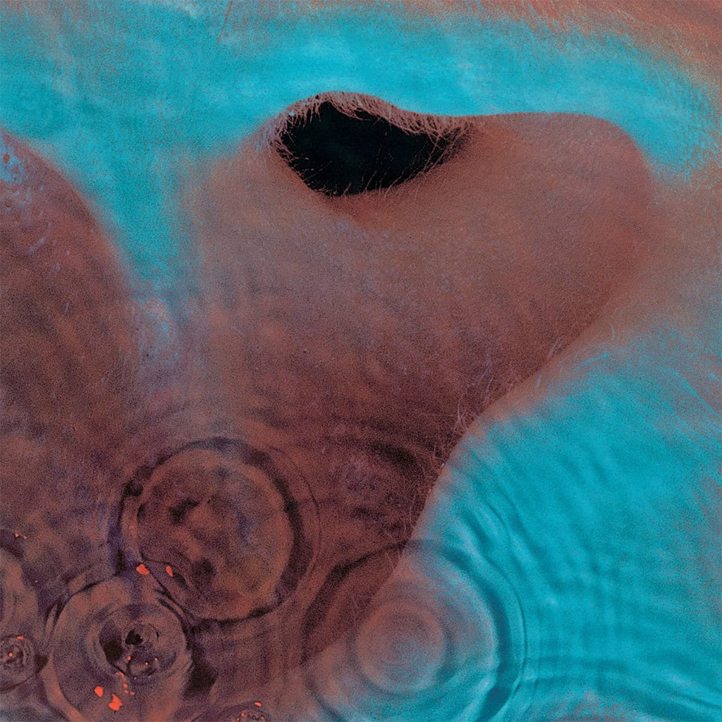 PINK FLOYD - Meddle (2016 Remaster) - LP - Gatefold 180g Vinyl