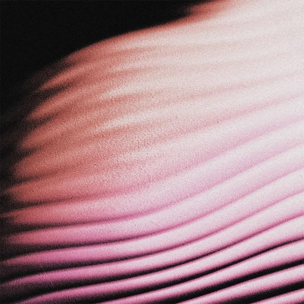 POLAR - Everywhere, Everything - LP - Glow In The Dark Green Vinyl [MAR 3]