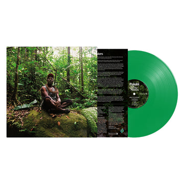POLOBI & THE GWO KA MASTERS - Abri Cyclonique - LP - Green Vinyl [FEB 17]