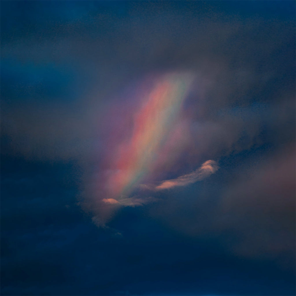 POOL KIDS - Pool Kids - LP - Green / Purple Splatter Vinyl [APR 7]