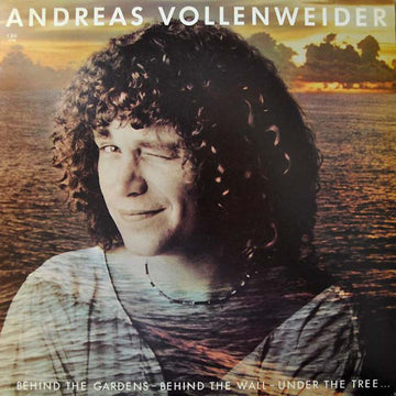 ANDREAS VOLLENWEIDER - BEHIND THE GARDENS - BEHIND THE WALL - UNDER THE TREE - LP - Vinyl