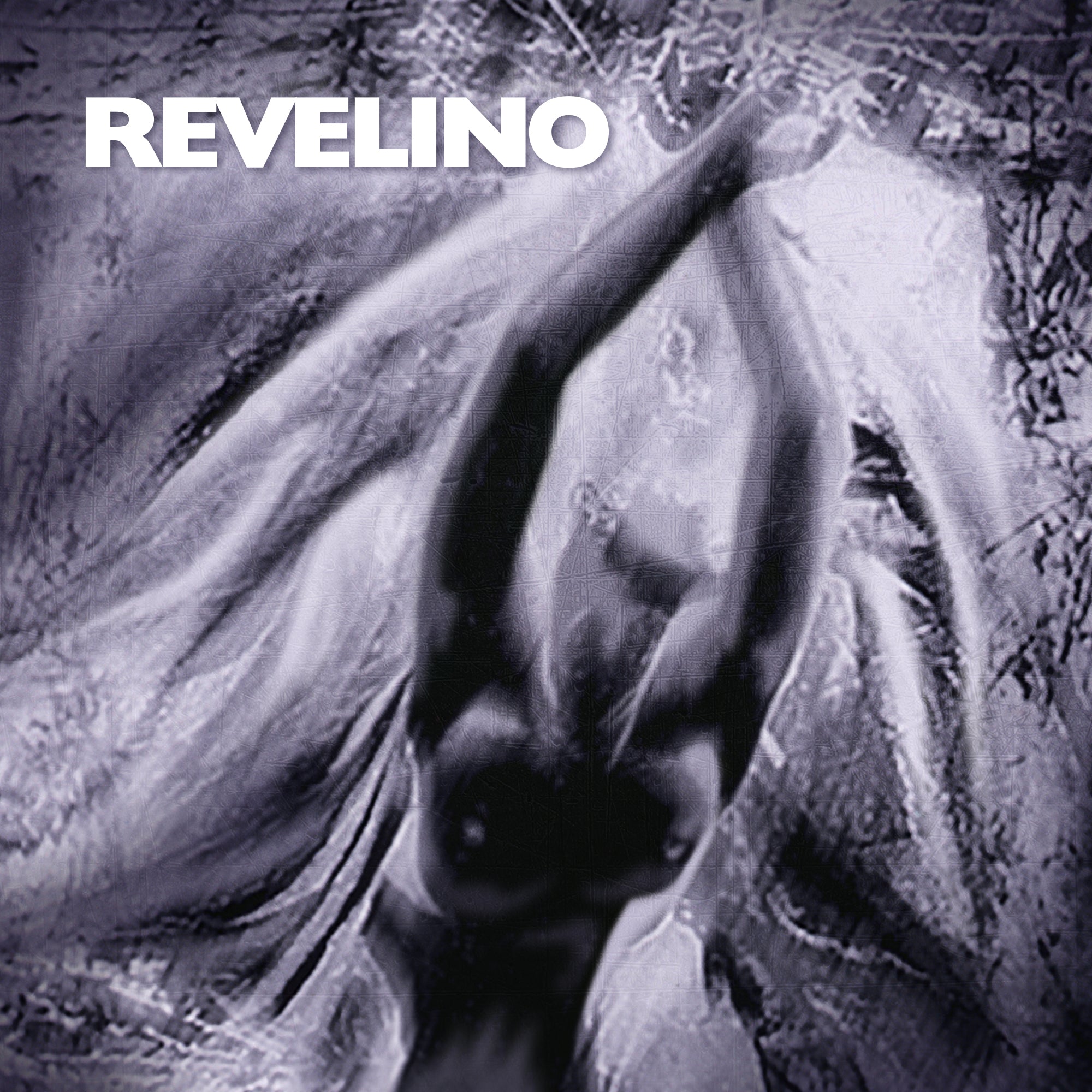 REVELINO – Revelino / Happiness Is Mine (Remix) – LP+12″ – Limited Black / Gold Vinyl