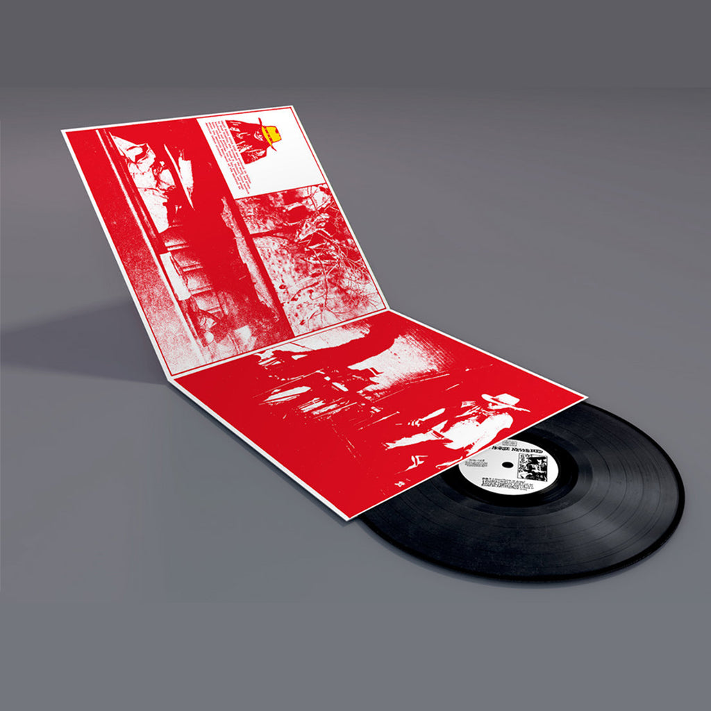 ROXY GORDON - Crazy Horse Never Died (2023 Deluxe Reissue w/ 48 page Chapbook) - LP - Deluxe Gatefold Vinyl